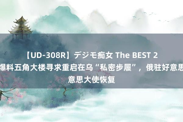 【UD-308R】デジモ痴女 The BEST 2 好意思媒爆料五角大楼寻求重启在乌“私密步履”，俄驻好意思大使恢复