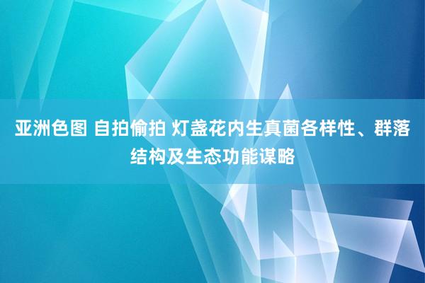 亚洲色图 自拍偷拍 灯盏花内生真菌各样性、群落结构及生态功能谋略