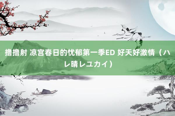 撸撸射 凉宫春日的忧郁第一季ED 好天好激情（ハレ晴レユカイ）