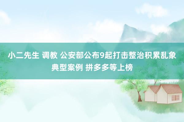 小二先生 调教 公安部公布9起打击整治积累乱象典型案例 拼多多等上榜