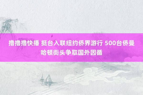 撸撸撸快播 挺台入联纽约侨界游行 500台侨曼哈顿街头争取国外因循