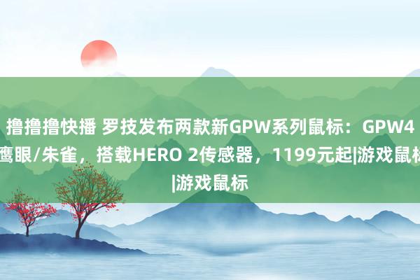 撸撸撸快播 罗技发布两款新GPW系列鼠标：GPW4 鹰眼/朱雀，搭载HERO 2传感器，1199元起|游戏鼠标