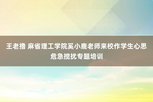 王老撸 麻省理工学院奚小鹿老师来校作学生心思危急搅扰专题培训