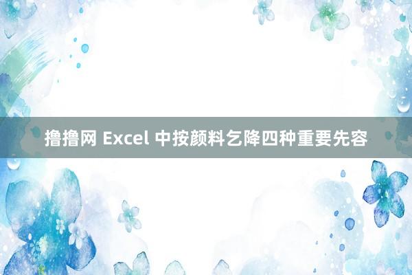 撸撸网 Excel 中按颜料乞降四种重要先容